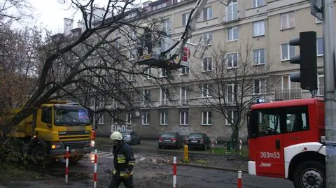 Drzewo na ciężarówce. Utrudnienia na Czerskiej