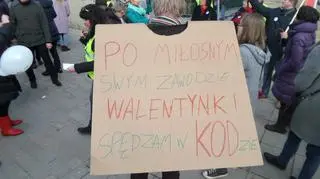 Pikieta KOD przed Pałacem Prezydenckim