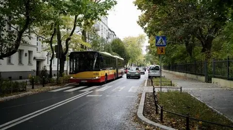 Więcej zieleni, nowe chodniki i jezdnia