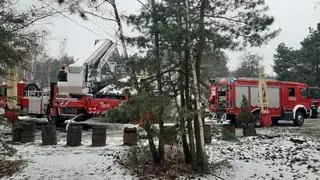 Pożar w restauracji na Białołęce