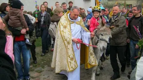 Konkurs na najpiękniejszą palmę i procesja z osiołkiem
