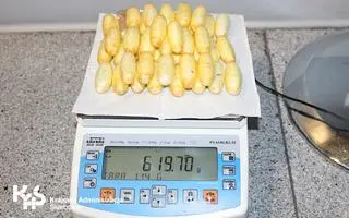 Próbował przemycić ponad 1,25 kilograma kokainy 