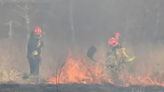 Na miejsce przyjechały dwa zastępy straży 