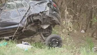 Samochód zatrzymał się na drzewie