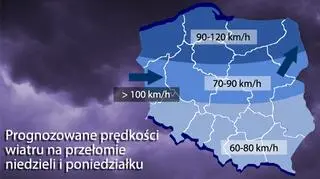 grafika tvn24.pl