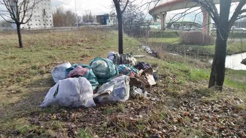 Dzikie wysypisko nad kanałem.  "Wszystko tu można znaleźć"