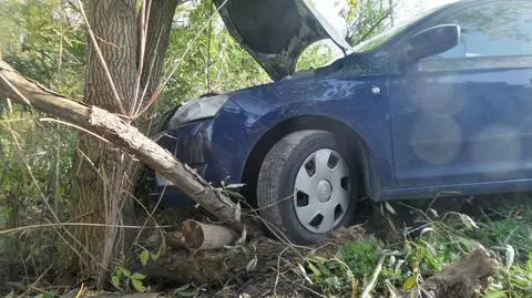 Skoda uderzyła w drzewo. Podróżowała nią rodzina z dziećmi