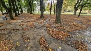 Woda z pękniętej rury wleciała do parku Szustrów i parku Promenada