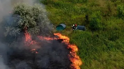 Pożar traw na Annopolu. Ogień zmierzał wprost ku namiotom 