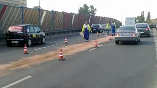 fot. Lech Marcinczak/tvnwarszawa.pl