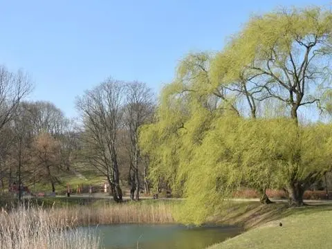 Zakaz wstępu do parków