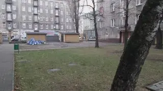 Worki z zielonymi odpadami na Pradze-Północ