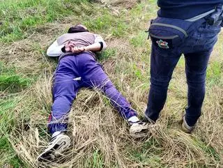 Policjanci zlikwidowali trzy nielegalne plantacje marihuany