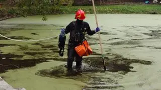 Akcja służb w parku Rydza-Śmigłego