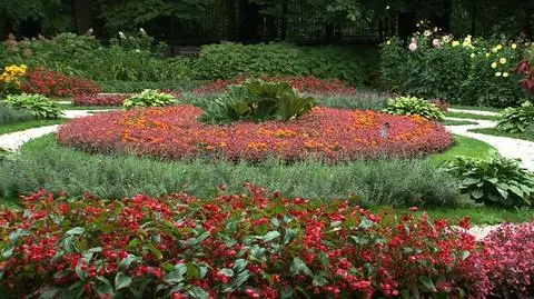 Otwiera się Ogród Botaniczny Uniwersytetu Warszawskiego