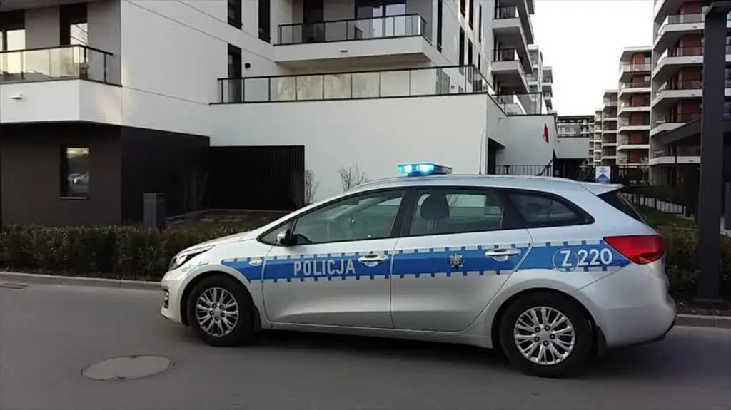policja