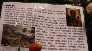 Ozdabiają tęczę