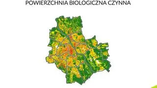 Powierzchnia biologiczna czynna