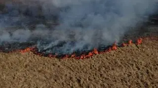 Pożar traw w miejscowości Stare Lipiny