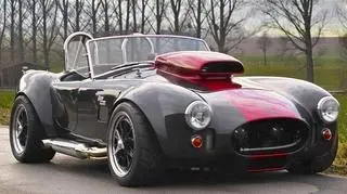 Weineck Cobra fot.vervastreetracing.pl