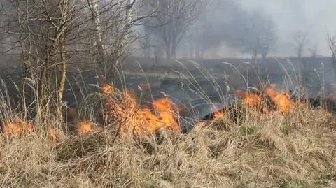 Wypalał trawy, zginął w płomieniach 