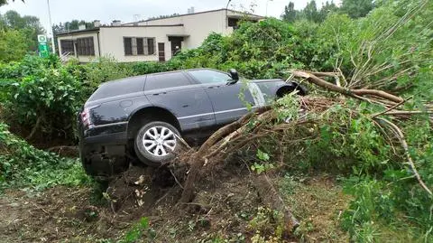 Przez pas zieleni, chodnik, pod prąd. Auto terenowe wypadło z drogi. "Kierowca się oddalił" 