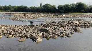 Niski poziom wody w Wiśle