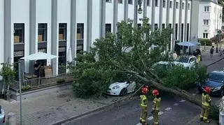 Drzewo przewróciło się przy ulicy Suzina