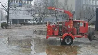 Wycinka przed urzędem dzielnicy Śródmieście