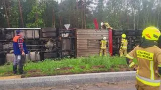 Przewoził krowy, auto przewróciło się na rondzie