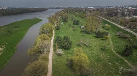 Na dzikim brzegu Wisły chcą urządzić park