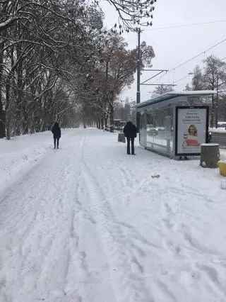 Nieodśnieżone chodniki w Warszawie