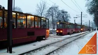 fot. Wojtek/warszawa@tvn.pl