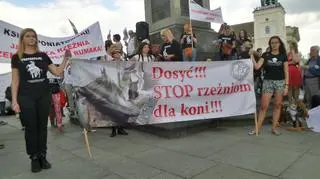 Protest przeciwko hodowli i wywozowi koni na rzeź