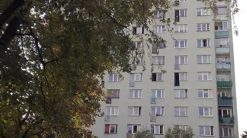 Wyrzucił psa z 8. piętra?