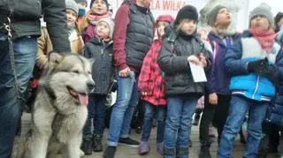 Akcja "Zawyj dla wilka" na Skwerze Hoovera