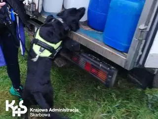 Policja zlikwidowała wytwórnię narkotyków działającą na terenie pow. płońskiego