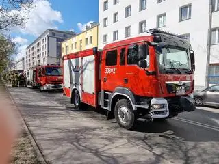 Piesza potrącona przez autobus