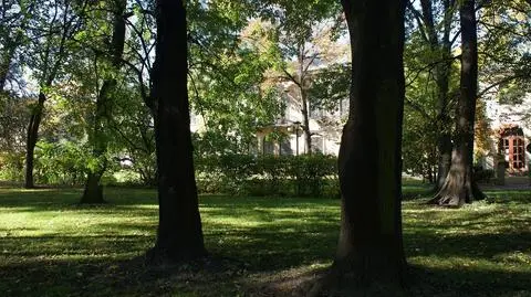 Część ogrodu w centrum zabytkiem. "Cenny element"