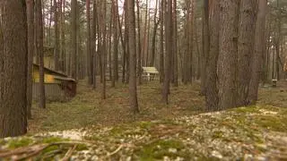 Lasy Państwowe odbierają nieruchomość nad Zalewem Zegrzyńskim