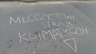 Młodzieżowy Strajk Klimatyczny