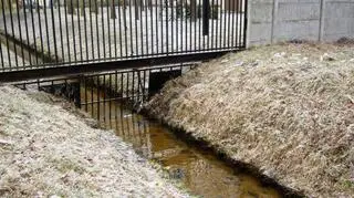 30 poduszek w Kanale Żerańskim