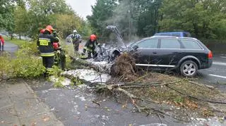 Audi uderzyło w drzewo