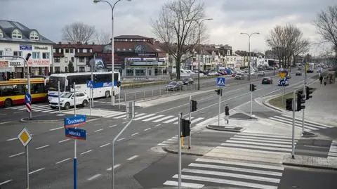 Chwalą się zebrą na Grochowskiej. "Nie sparaliżowała ruchu"