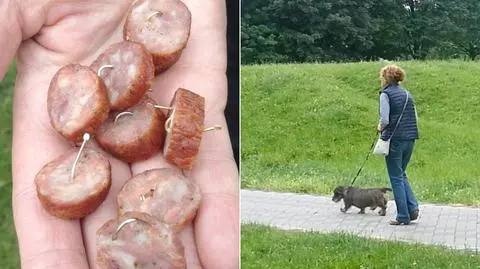 "Ostry haczyk, misternie wbity w kiełbasę. Każdy pies się złapie"