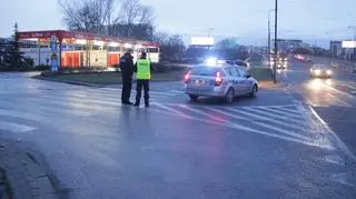 Akcja strażaków w okolicach Wola Parku