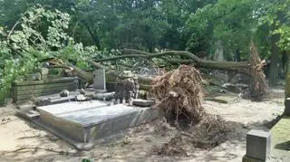 Połamane krzyże, zniszczone nagrobki