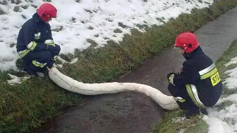 Wyciek oleju opałowego na Białołęce