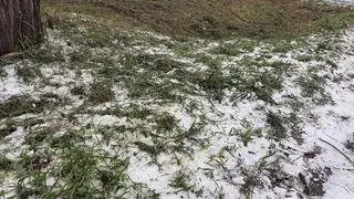 Koszenie śniegu na Bemowie 