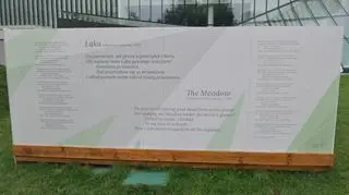 "Łąka Leśmiana"